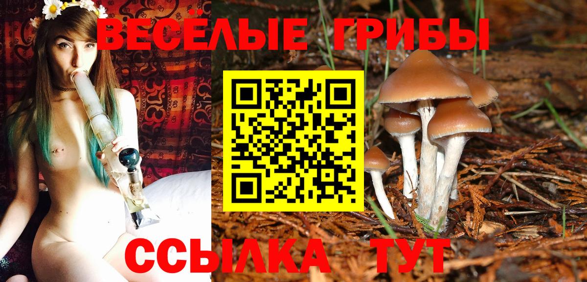 Псилоцибиновые грибы мухоморы Пятигорск