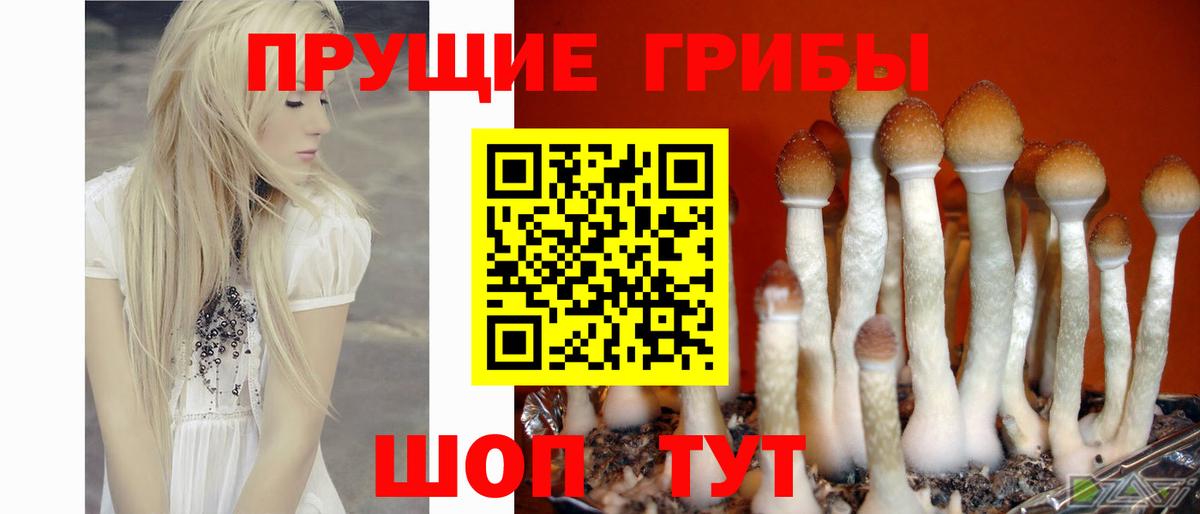 Псилоцибиновые грибы GOLDEN TEACHER  Вход с VPN  Пятигорск 